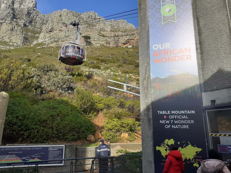 Cape Town: Table Mountain,Cape Point & Penguins Private Tour - Who this private Cape Town tour fits best