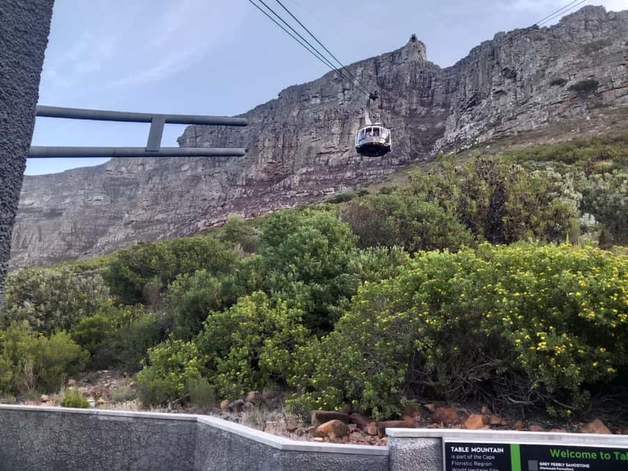 Cape Town: Table Mountain Half-Day Tour with Cable Car Ride - Price and value: what $121 buys you in real terms