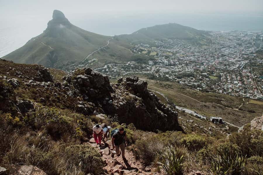 Cape Town: Table Mountain Hike with an Experienced Guide - Key Things to Know Before You Go