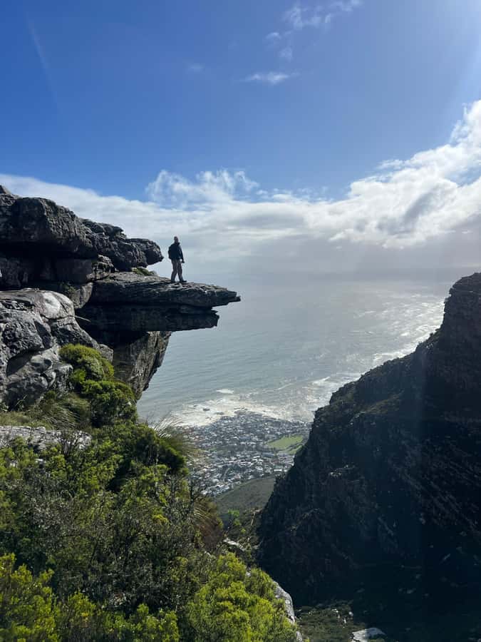 Cape Town: Table Mountain Hike with an Experienced Guide - The 5-Hour Flow: What Happens From Safety Briefing to Summit Photos