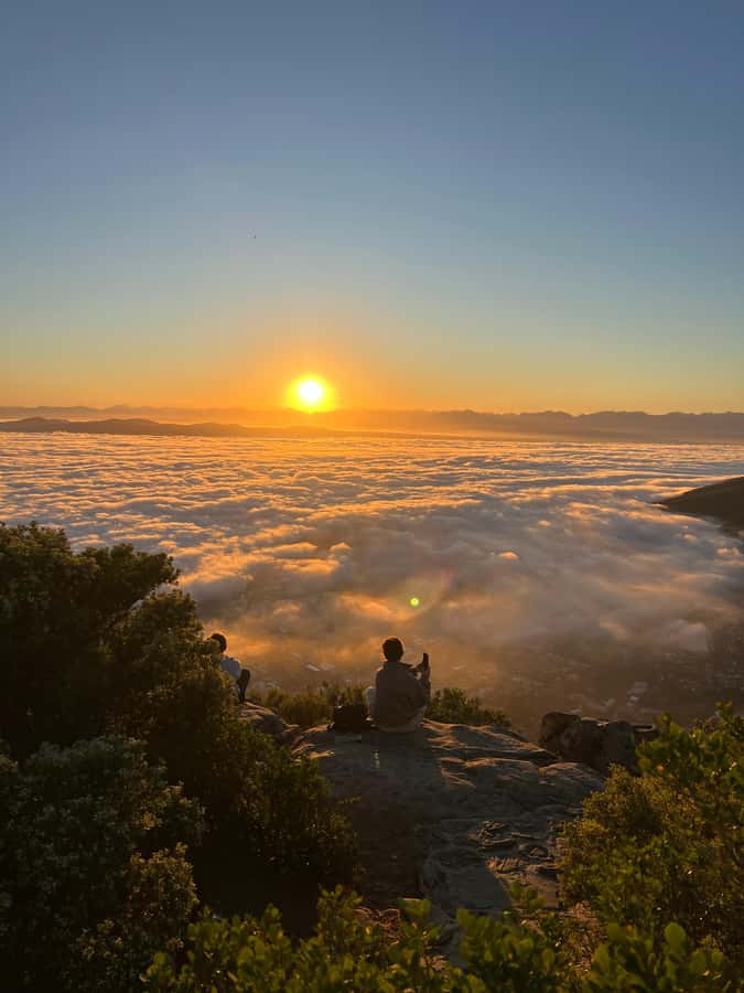 Cape Town: Table Mountain Hike with an Experienced Guide - Fynbos, Proteas, Birds, and the UNESCO Cape Floral Kingdom