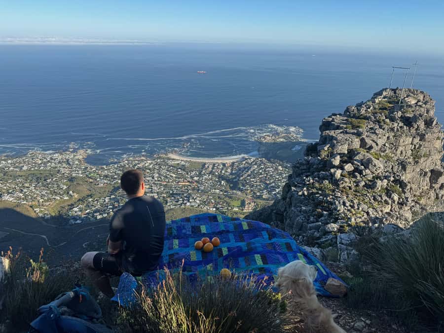 Cape Town: Table Mountain Hike with an Experienced Guide - Cable Car Descent: How to Plan for Wind and Keep the Day Smooth