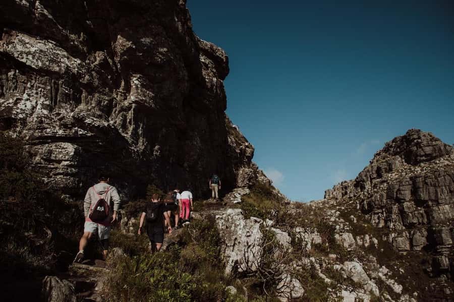 Cape Town: Table Mountain Hike with an Experienced Guide - Meeting Points, Start Times, and Route Changes You Should Expect