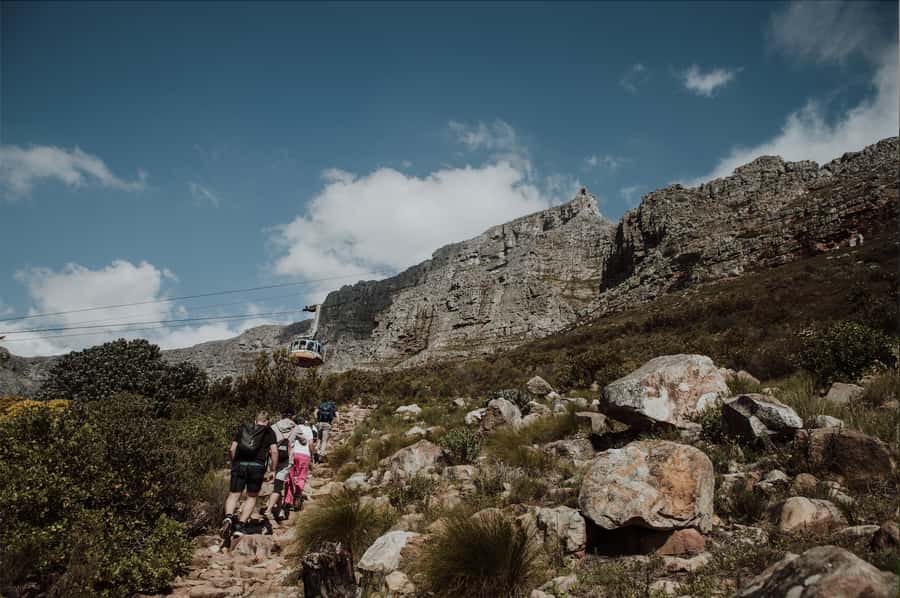 Cape Town: Table Mountain Hike with an Experienced Guide - Gear, Clothing, and Water: The Stuff That Makes the Hike Feel Easy