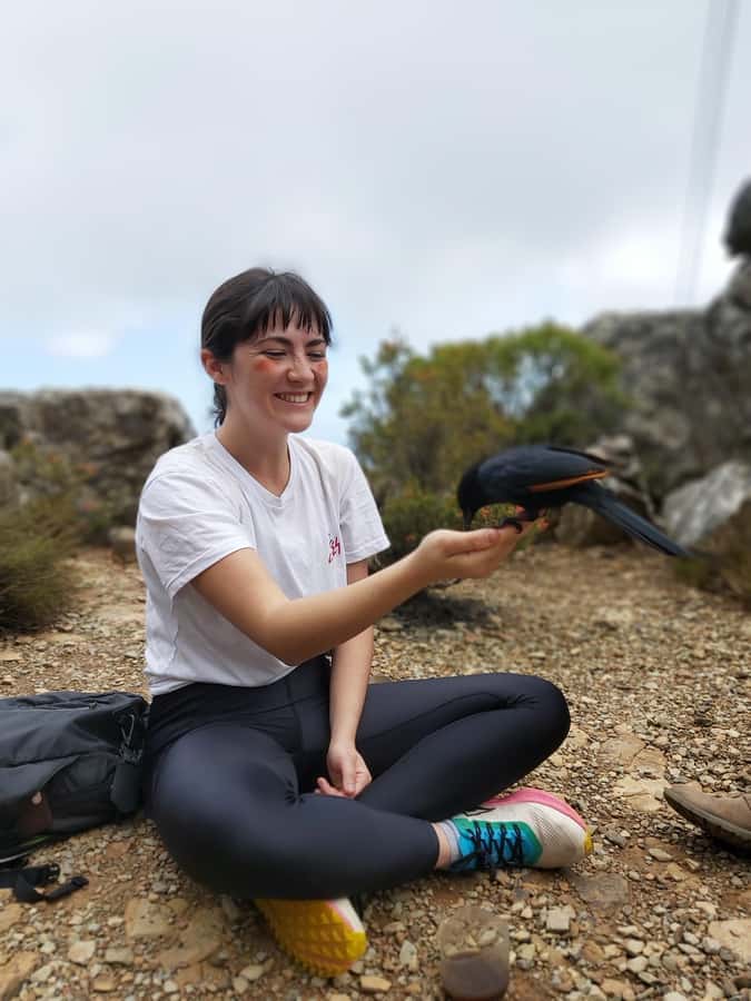 Cape Town: Table Mountain Hike with an Expert Guide - Why this guided Table Mountain hike is worth the money