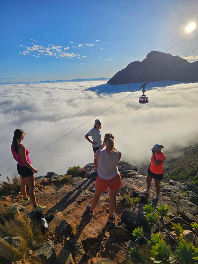 Cape Town: Table Mountain Hike with an Expert Guide - Fynbos and wildlife: why the guide adds meaning to every stop