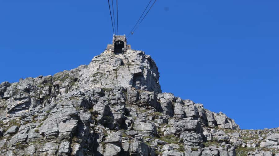 Cape Town:- Table Mountain including Hotel Transfer - Fynbos Trails and Local Plant Life: Small Steps, Real Sense of Place