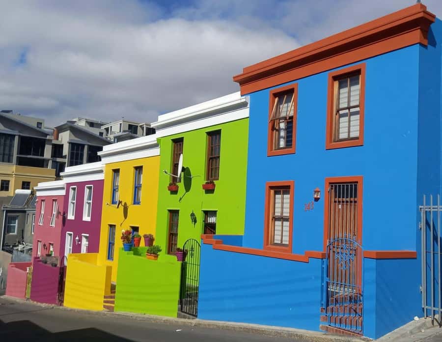 Cape Town: Table Mountain, Kirstenbosch Botanic Garden Tour - Why This Half-Day Combo Works So Well in Cape Town