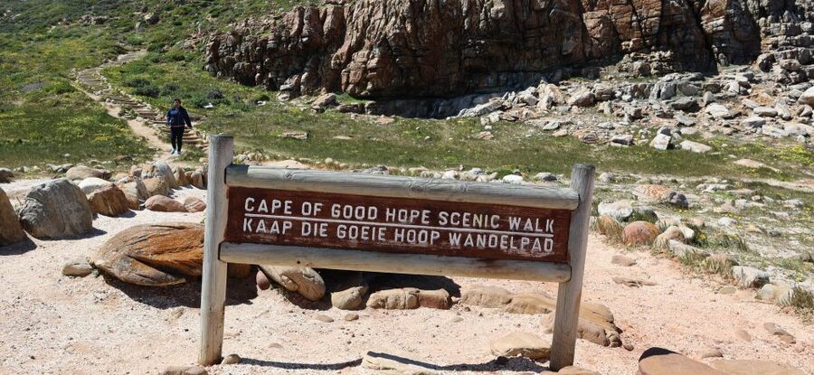 Cape Town: Table Mountain, Penguins & Cape Point Group Tour - Cape of Good Hope and Cape Point lighthouse options
