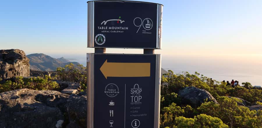 Cape Town: Table Mountain, Penguins & Cape Point Group Tour - Van comfort, pickup zones, and how the day actually feels