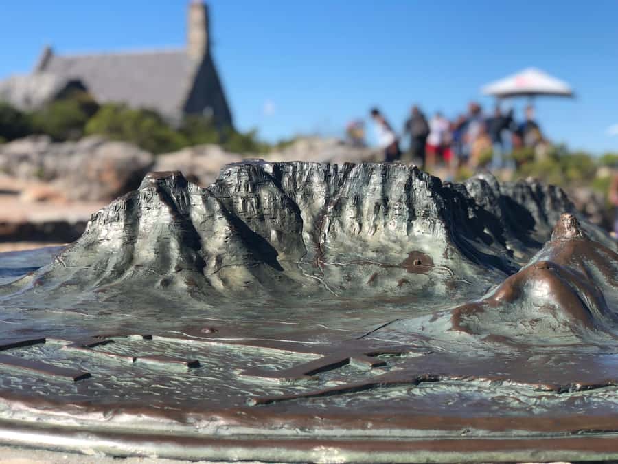 Cape Town: Table Mountain, Penguins & Cape Point Shared Tour - Table Mountain and Penguins Day Tour in Plain Terms
