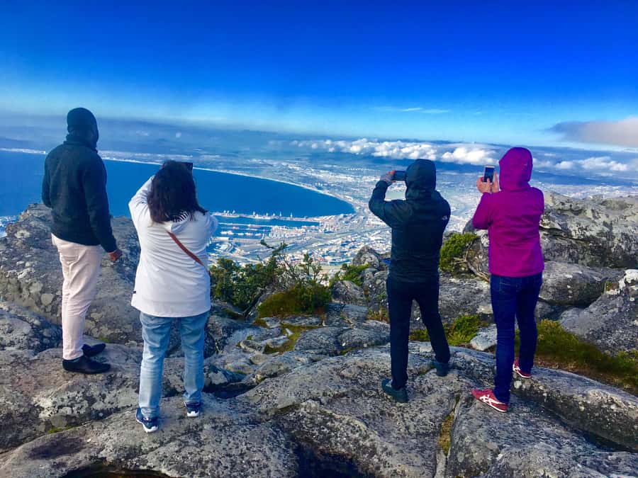 Cape Town: Table Mountain, Penguins & Cape Point Shared Tour - What You’ll Actually Get for $53