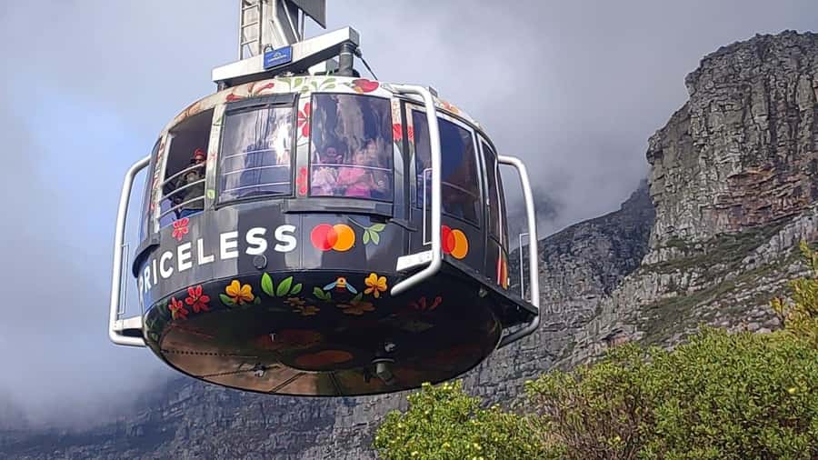 Cape Town: Table MT, Cape Point & Penguins Instagram Tour - Key highlights worth showing up for