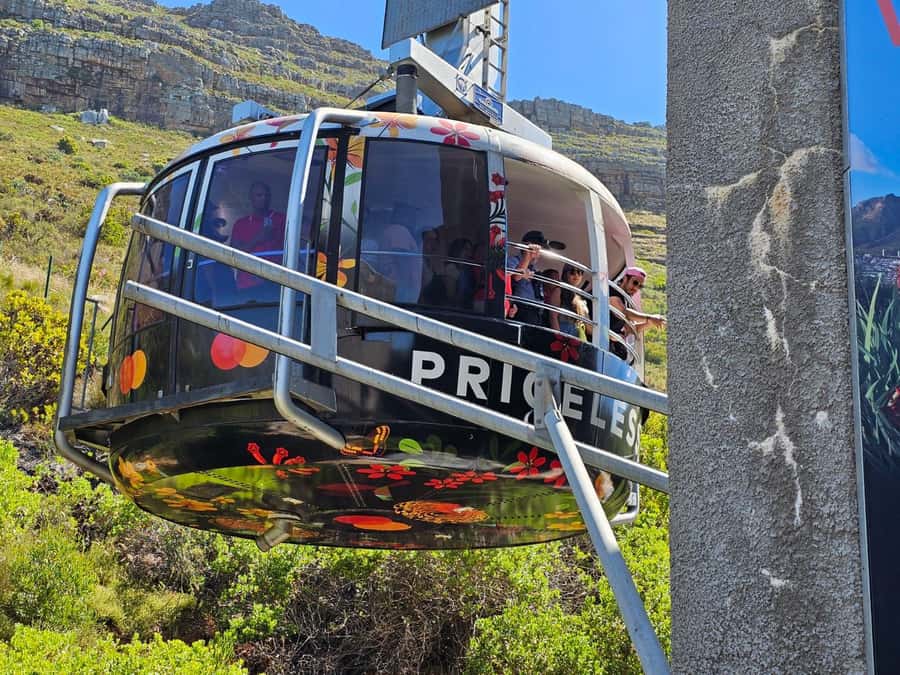 Cape Town: Table MT, Cape Point & Penguins Instagram Tour - Price and logistics: what $46 really buys