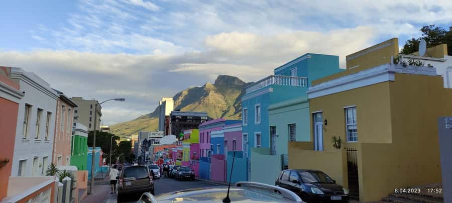 Cape Town: Table MT, Cape Point & Penguins Instagram Tour - Boulders Beach: seeing African penguins at close range