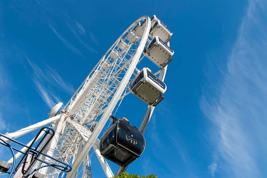 Cape Town: The Cape Wheel Ticket - Key Things to Know Before You Board the Cape Wheel