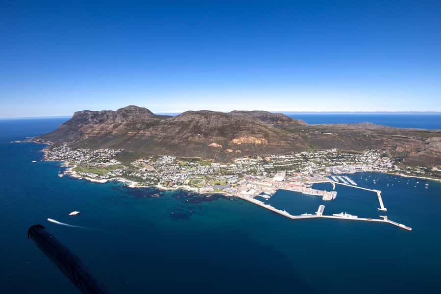 Cape Town to Cape Point Helicopter Flight - 48Min - Back to the V&A Waterfront: champagne tasting after landing