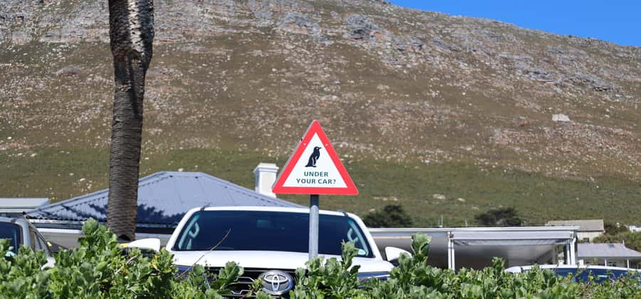 Cape Town: Tour Cape Point & Boulders Beach Penguin Day Trip - Cape Point lighthouse: funicular vs a short hike