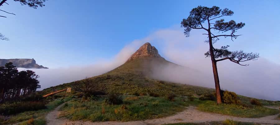 Cape Town: Trail Run Lion's Head and Signal Hill Morning - Key points at a glance