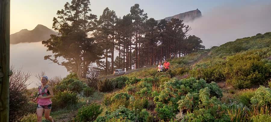 Cape Town: Trail Run Lion's Head and Signal Hill Morning - The Lion’s Head start: gradual climb, spine views, and sunrise timing