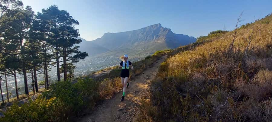 Cape Town: Trail Run Lion's Head and Signal Hill Morning - Cape Floral Region facts you can actually use on the trail
