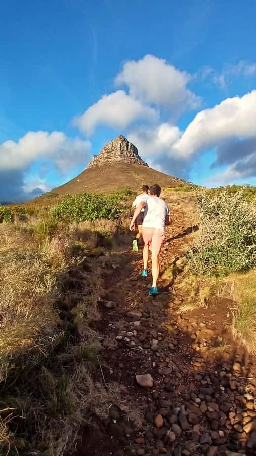 Cape Town: Trail Run Lion's Head and Signal Hill Morning - Price and value: what $73 gets you for a short, guided route