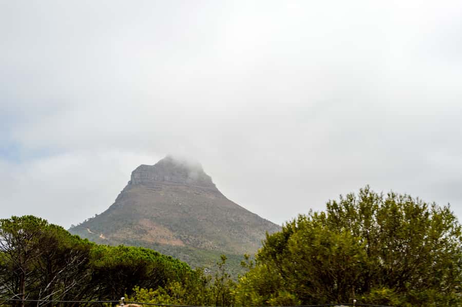 Cape Town Uncovered : Half-Day City Tour and Table Mountain - Hotel Pickup to Table Mountain: What the Timing Feels Like