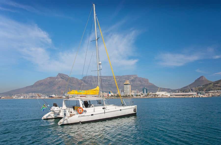 Cape Town: V&A Waterfront 1-Hour Scenic Cruise - Atlantic Wildlife Chances: Seals, Dolphins, Penguins, and Maybe Whales