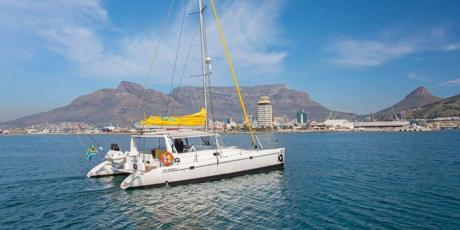 Cape Town: V&A Waterfront 1-Hour Scenic Cruise - Should You Book the 1-Hour V&A Waterfront Scenic Cruise?