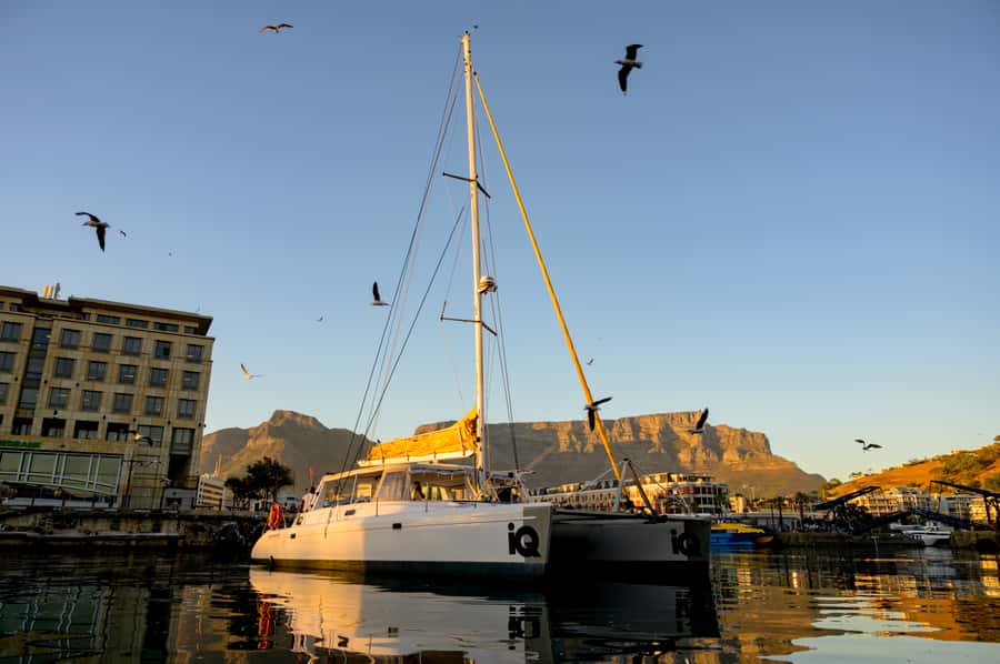 Cape Town: V&A Waterfront 1-Hour Scenic Cruise - Welcome Drink and the Best Places to Sit on Deck