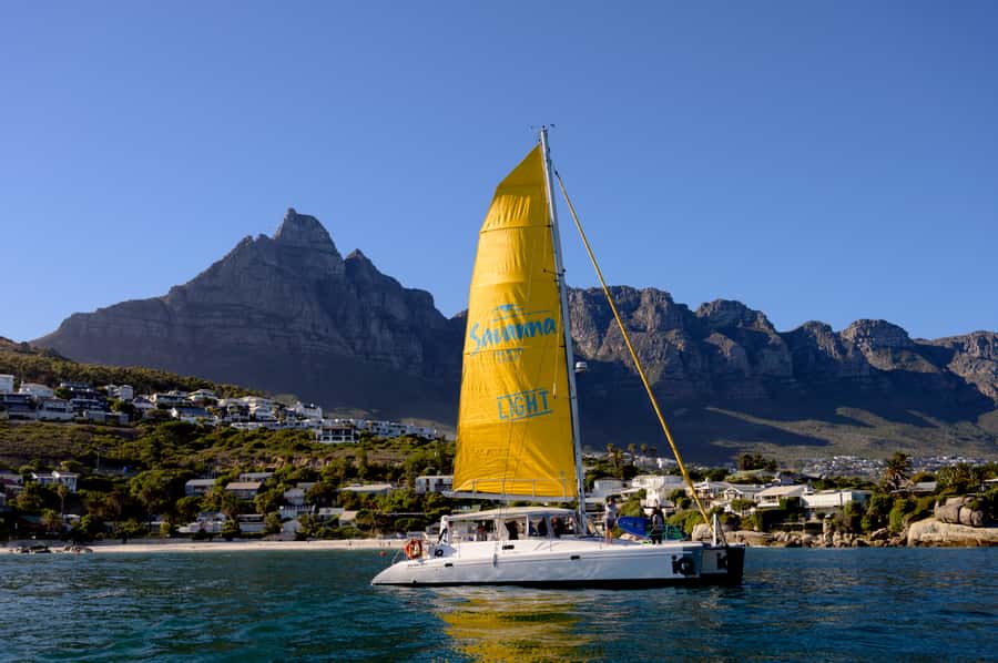 Cape Town: V&A Waterfront Gin Voyage Cruise - Two Gins, Two Tonics, and a Color-Changing Gin Experiment