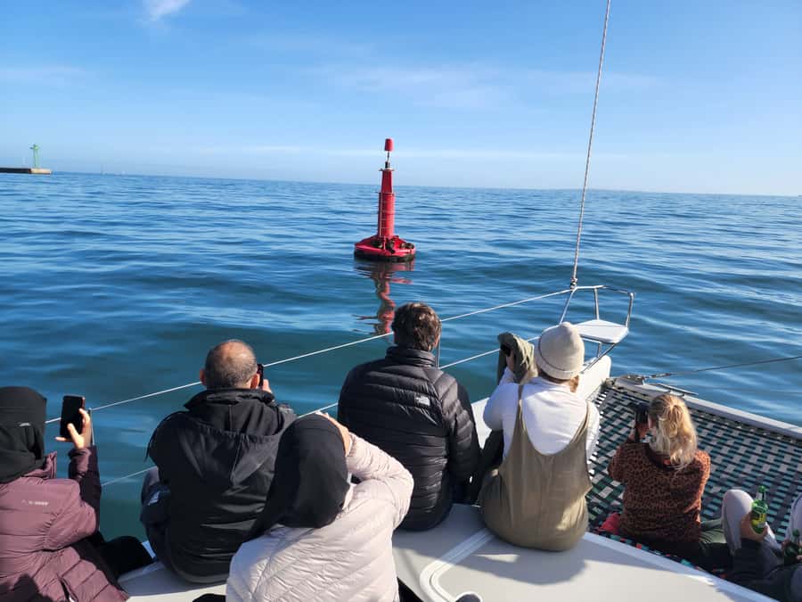 Cape Town: V&A Waterfront Gin Voyage Cruise - Price and Value: Is $37 Worth It for a Gin Cruise?