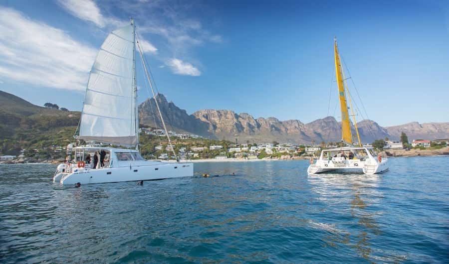 Cape Town: V&A Waterfront Gin Voyage Cruise - Where to Meet IQ Catamaran at the V&A Waterfront (North Wharf Detail)