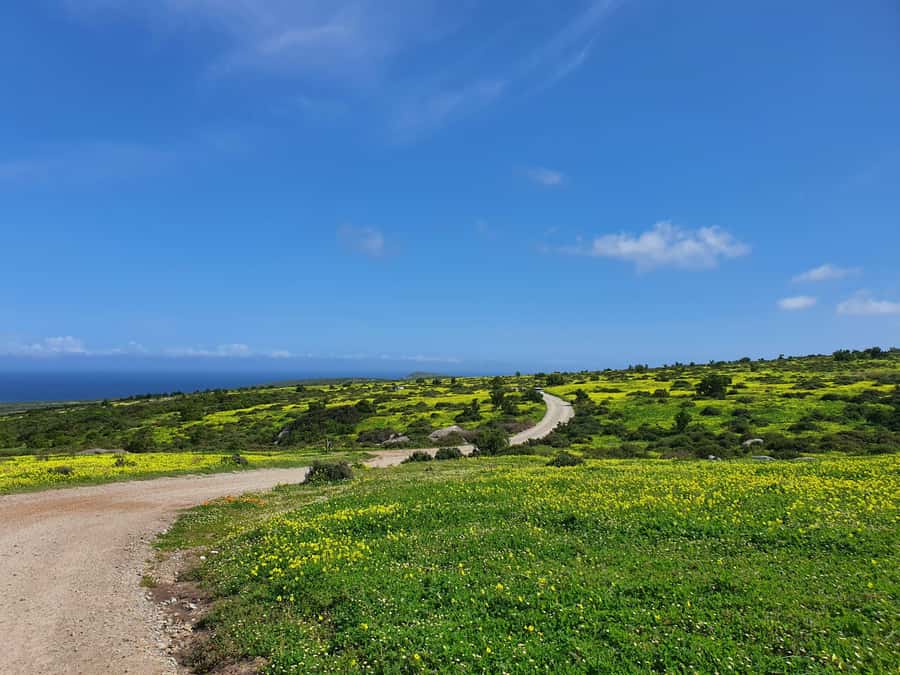 Cape Town: West Coast Spring Tour 2025 - Practical packing for wind, sun, and the walking parts