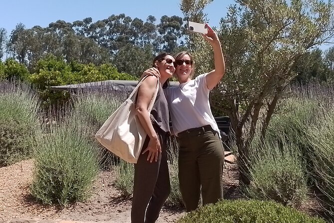 Cape Town Wine Tasting - What the Tastings Really Feel Like (and How to Get More Out of Each Stop)