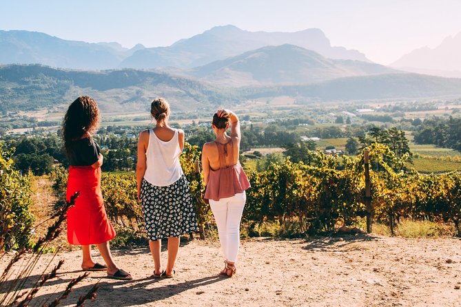 Cape Town Wine Tasting - Price and Value of a Private Full-Day Winelands Tour Around $135