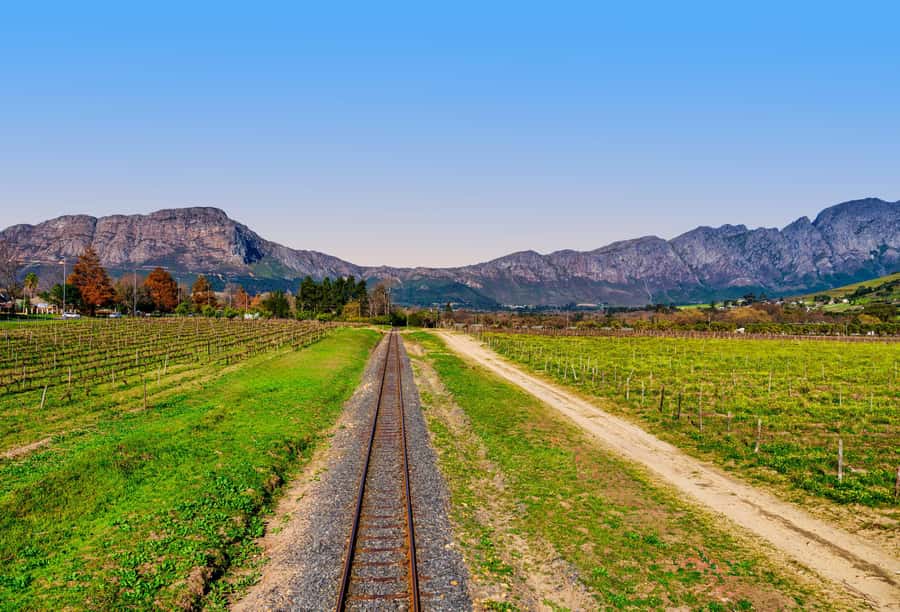 Cape Town: Wine Tram & Winelands Tour with Tastings & Pickup - Small group (max 15) vs private all-inclusive, what changes