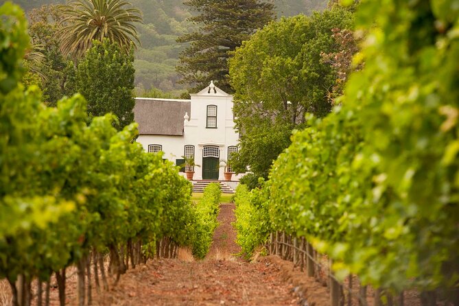 Cape Town: Winelands Private Half Day Tour - Constantia in about 2 hours, older wine roots and Cape Dutch charm