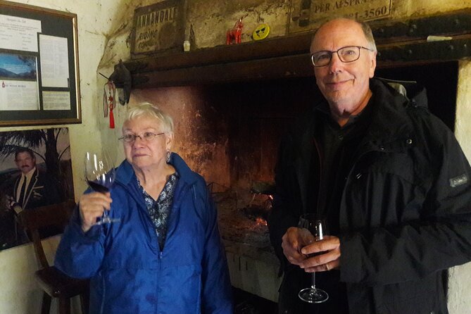 Cape Town: Winelands Private Half Day Tour - Who should book this private half-day winelands tour?