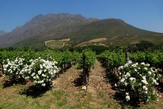 Cape Town Winelands Stellenbosch Private Afternoon Tour - Oom Samie Se Winkel: A Victorian Trading Post You Can Still Step Into