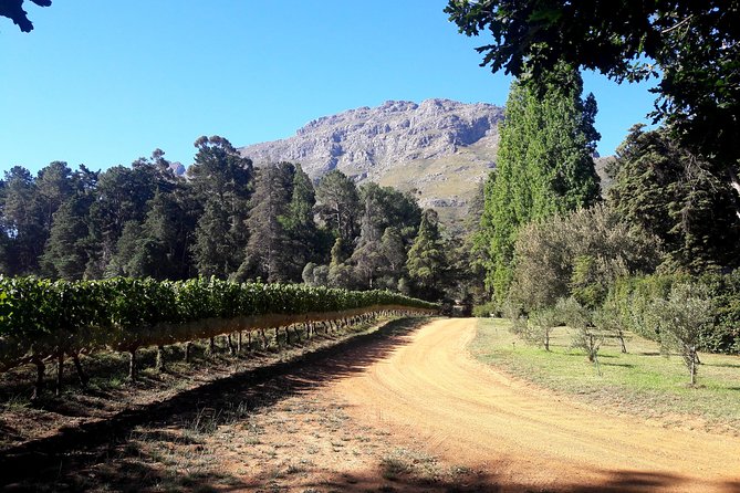 Cape Town Winelands Stellenbosch Private Afternoon Tour - Price and Value: What $410.02 Gets You (Up to Two People)