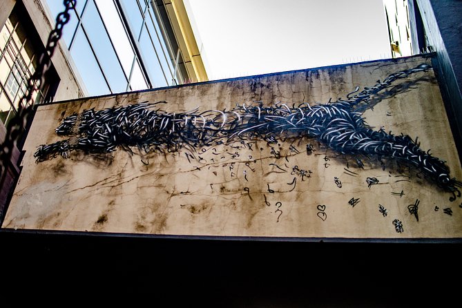 Cape Town Woodstock Street Art Walking Tour - What you get from the best guides, and what to watch for