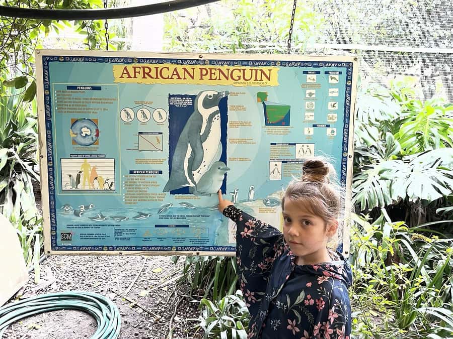 Cape Town: World of Birds & Animal Sanctuary - Value and Price: Why About $10 Can Make This Feel Like a Deal