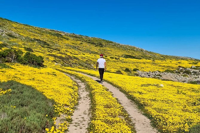 Cape West Coast Flower Tour - Private pickup from Cape Town, and how the day stays easy