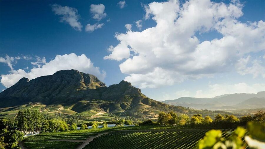 Cape Wineland 3 Award Winning Vineyards - Key Points You Should Know Before You Go
