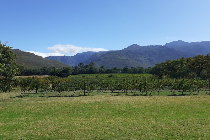 Cape Winelands and Wine Tasting Full Day Tour - Cape Town to Winelands in One Long, Scenic Day