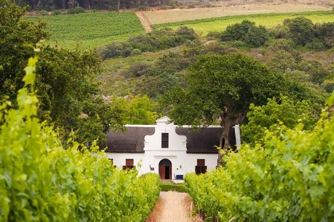 Cape Winelands and Wine Tasting Full Day Tour - Fairview Wine and Cheese in Paarl Valley: Where the Tasting Starts with Cheese