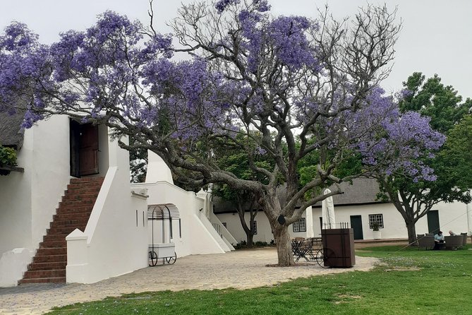 Cape Winelands and Wine Tasting Full Day Tour - Franschoek Town Hour: French Corner, Food, and Easy Wandering Time