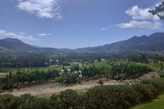 Cape Winelands and Wine Tasting Full Day Tour - Stellenbosch Town Stop: Church Street, Oak Trees, and the University Town Feel