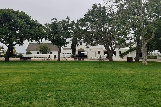 Cape Winelands and Wine Tasting Full Day Tour - Budget Reality: Wine Tastings and Lunch Are Not Included